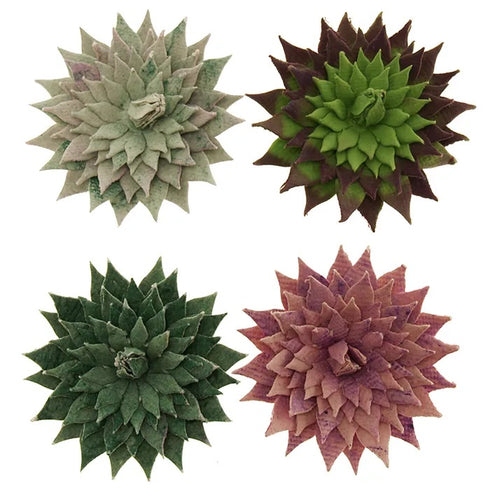 Vivid Succulents Ornament
